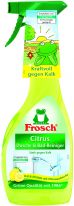 Frosch Citrus Dusche und Bad-Reiniger 500ml