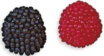 Fini Small Black&Redberries 1000g