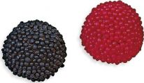 Fini Black & Red Berries x250pcs