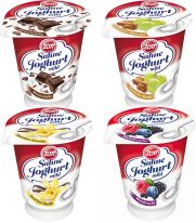 Zott Sahne Joghurt Sortierung Spezialität 150g, 20pcs