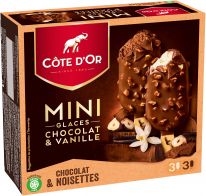 Cote d'Or Mini Glaces Chocolat & Vanille 6x50ml