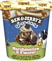 Ben & Jerry's Pint Marshmallow & S'More! Sundae 427ml