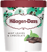 Haagen-Dazs Mint Leaves & Chocolate 460ml