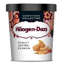 Haagen-Dazs Obsessions Peanut Butter Crunch 460ml