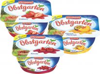 Ehrmann Obstgarten Pfirsich-Maracuja/Kirsch/Erdbeer 125g, 16pcs