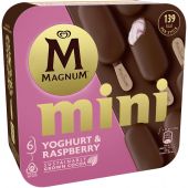 Langnese Multipack Magnum Mini Yoghurt & Raspberry 6x55ml