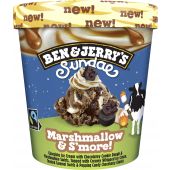 Ben & Jerry's Pint Marshmallow & S'More! Sundae 427ml