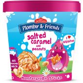 Plombir & Friends Salted Caramel & Peanuts 400ml, 8pcs